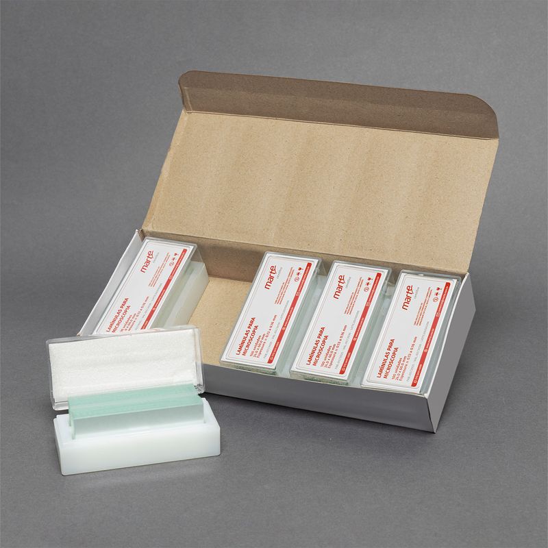 900.0000.07 - LAMINULA PARA MICROSCOPIA -24X60MM - 100 UNIDADES - 02