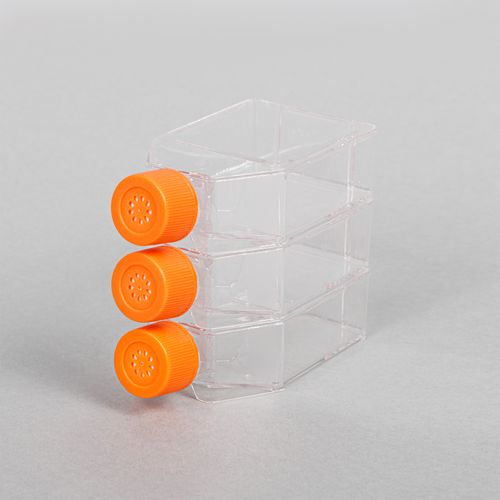 FRASCO CULTURA NAO TRATADO TAMPA VENTILADA 25CM2