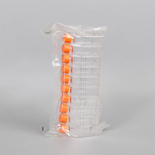 FRASCO CULTURA NAO TRATADO TAMPA VENTILADA 25CM2