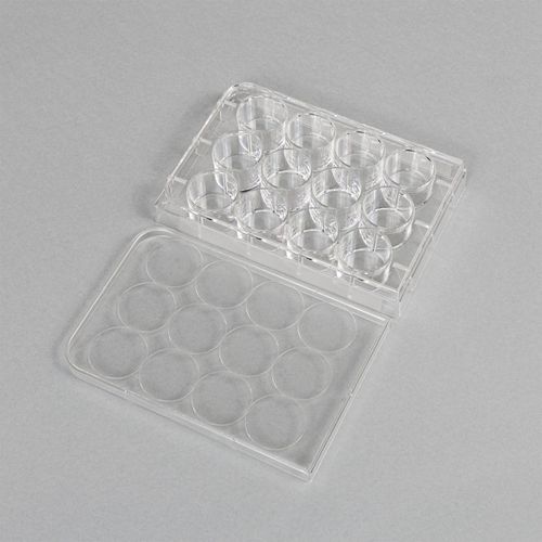 PLACA P/ CULTURA NAO TRATADA FUNDO CHATO 12 POCOS