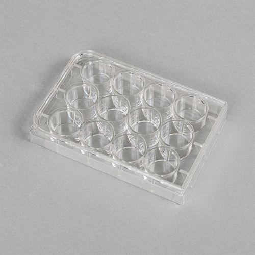 PLACA P/ CULTURA NAO TRATADA FUNDO CHATO 12 POCOS