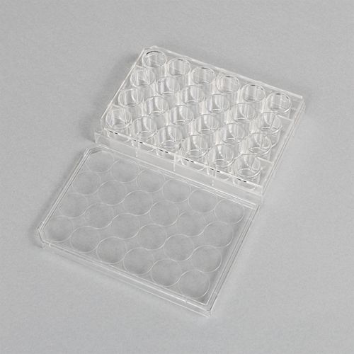 PLACA P/ CULTURA NAO TRATADA FUNDO CHATO 24 POCOS