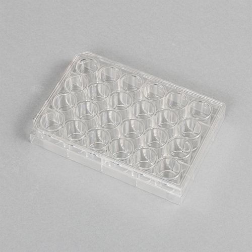 PLACA P/ CULTURA NAO TRATADA FUNDO CHATO 24 POCOS