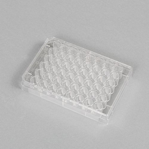 PLACA P/ CULTURA NAO TRATADA FUNDO CHATO 48 POCOS