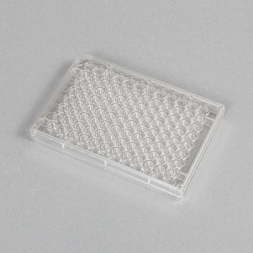 PLACA P/ CULTURA NAO TRATADA FUNDO CHATO 96 POCOS