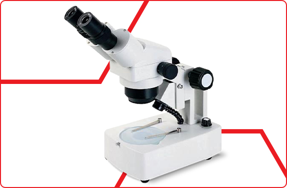 Manual Estereoscópio